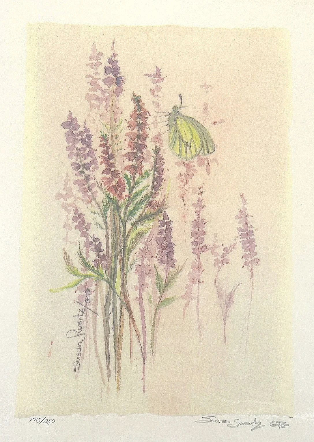 Solitude - Print — Susan Swartz Studios